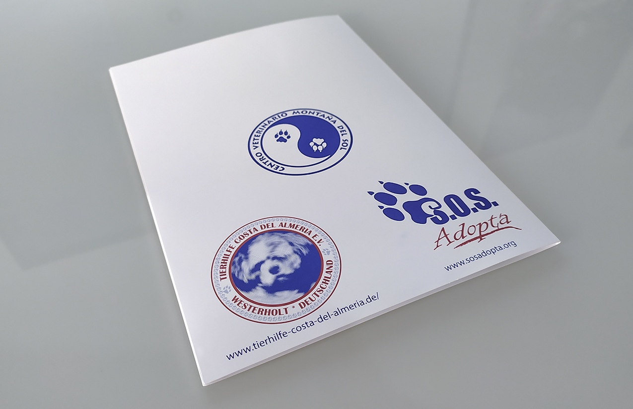 Pasaporte A LGP Lemingate Agencia de Publicidad FREYA