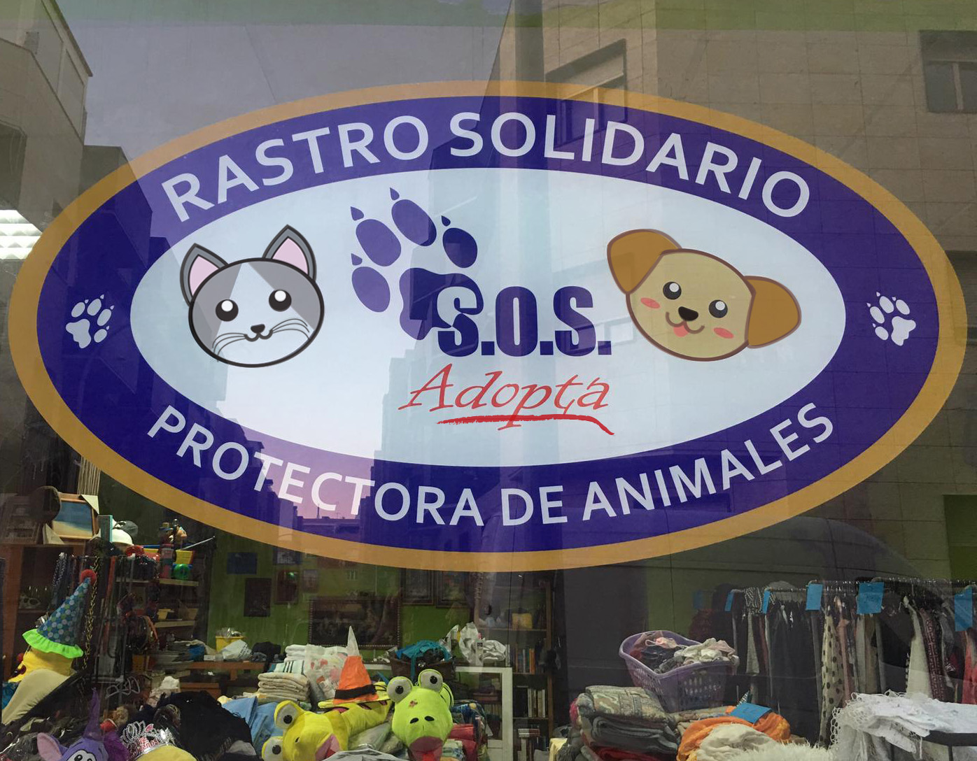 ESCAPARATE LGP Lemingate Agencia de Publicidad RASTRO SOLIDARIO