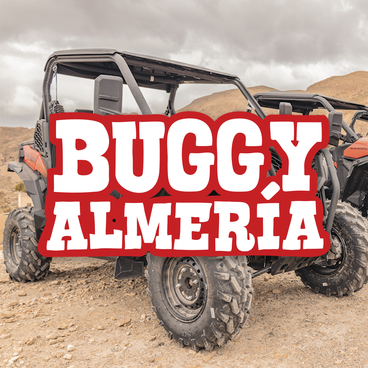 MINIATURAS WEB BUGGY LGP Lemingate Agencia de Publicidad