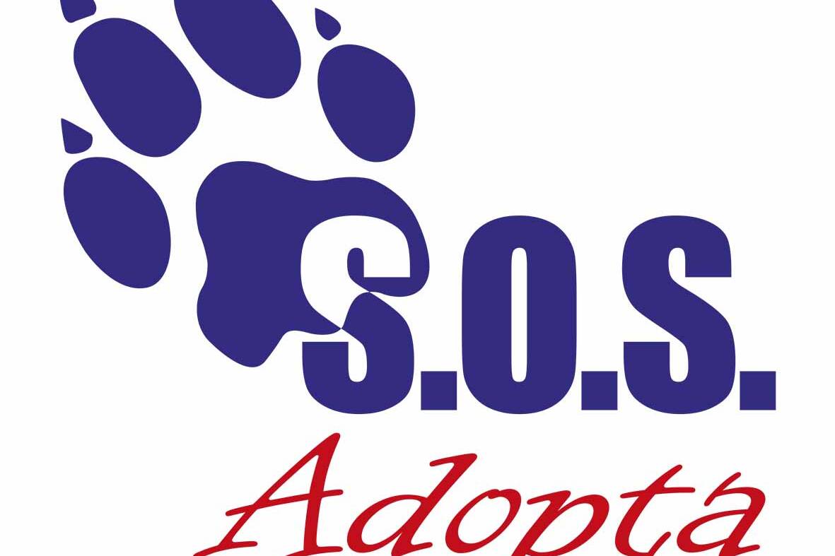 MINIATURAS WEB LEMINGATE SOS ADOPTA uai LGP Lemingate Agencia de Publicidad Arandb