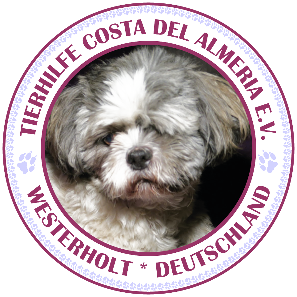 Z CIRCLE BRITANIC LGP Lemingate Agencia de Publicidad SOS Adopta